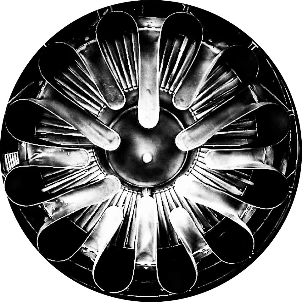 NOA Collective